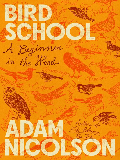 Cover image for Bird School